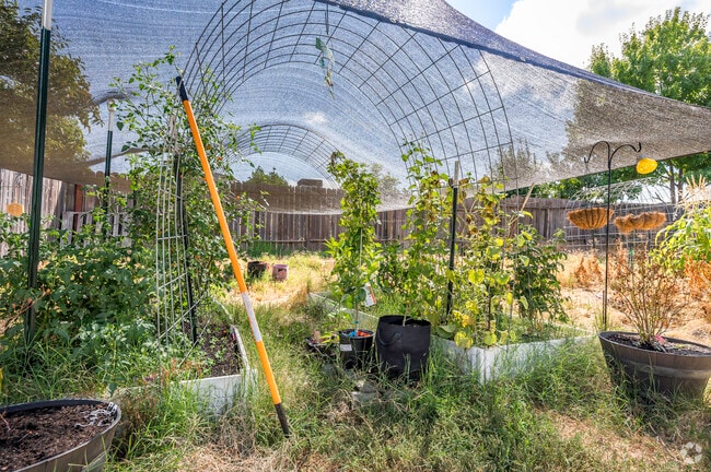 Backyards in Kirkland Place are big enough to have raised gardens.