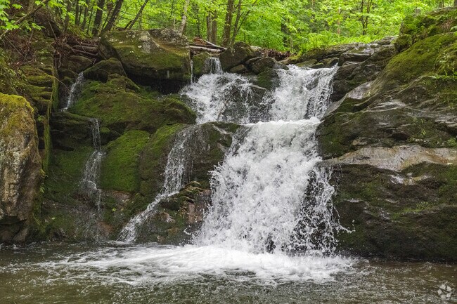 Recreational features near Savoy include Mount Greylock with several waterfalls and miles of hiking trails.