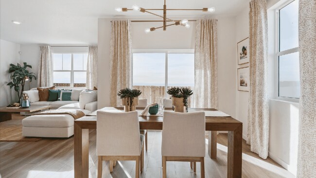 5828 Tulim Ln, Windsor, CO 80528 - photo 4