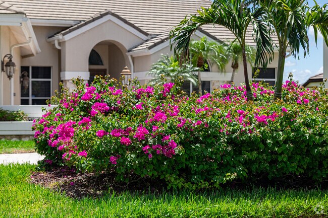 Beautiful tropical blooms are on display throughout Wildcat Run.