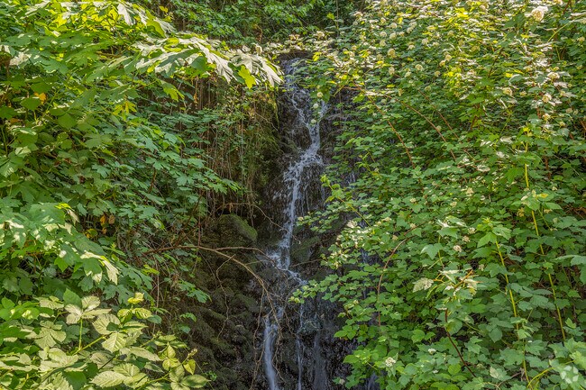 Coffee Creek Falls offers a peaceful cascade and forested backdrop by South End.