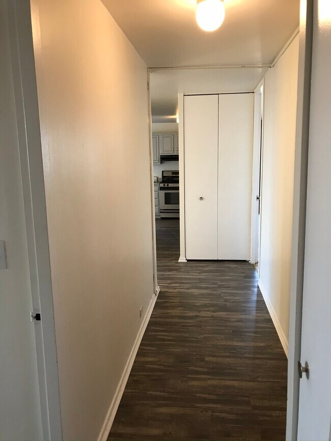 South Commons unit 23, Chicago, IL 60616 - photo 6