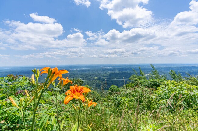 The stunning views off the brow in Walden is a major attraction for home owners.