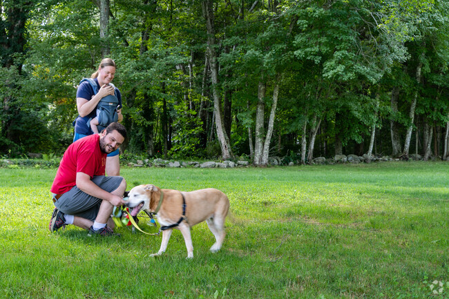 Families and their dogs enjoy sunny days at the park in Norwood's Maple Farms.