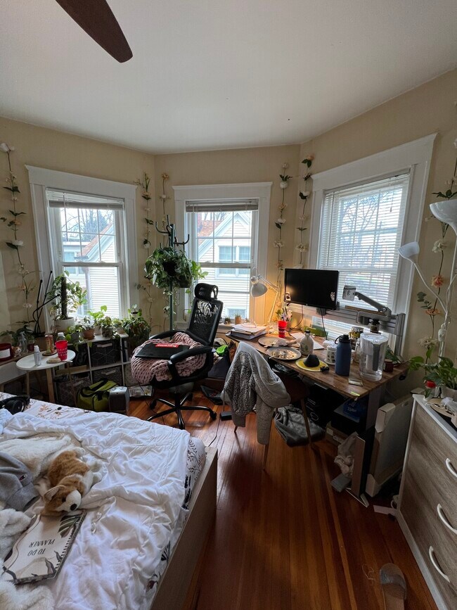 332 Beacon St unit 2, Somerville, MA 02143 - photo 5
