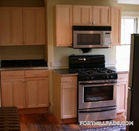 54 Dudley St unit SF, Roxbury, MA 02119 - photo 2