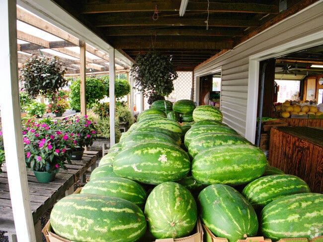 Browse the fresh fruit and vegetables at the local farmer's market in Indian River.