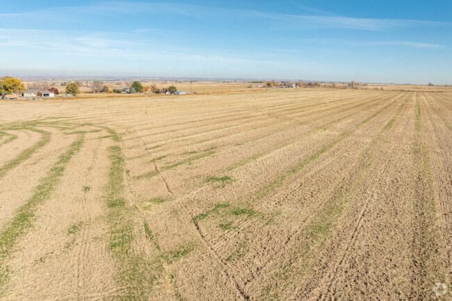 Farmland surrounds Buhl, supporting trout farms and vineyards.