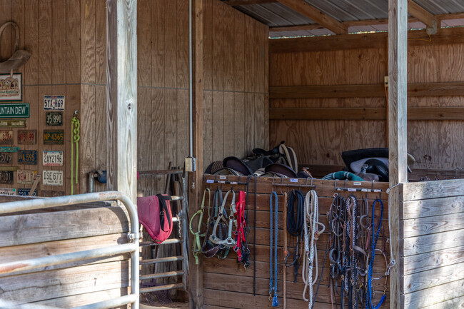 Wilmer residents can head to Twin Oak Barn for lessons in horseback riding.