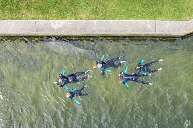 Swim with the manatee in Crystal River, 10 miles North of Lecanto.