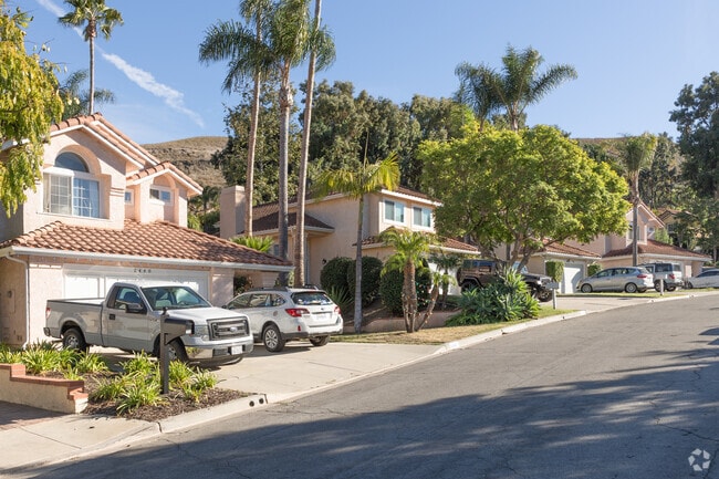 Mediterranean and Traditional homes line the Westside hills.