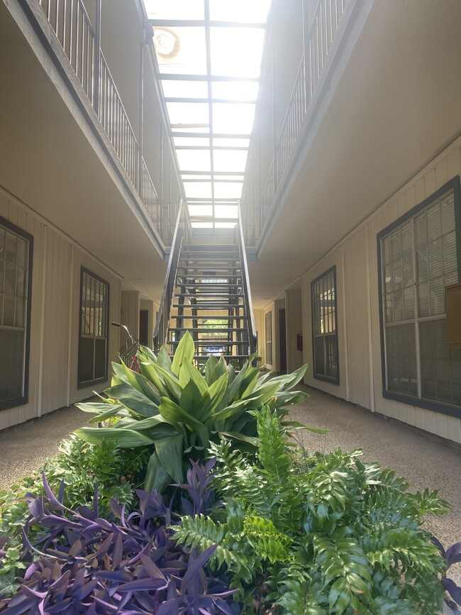 311 Jagoe St unit 7, Denton, TX 76201 - photo 6