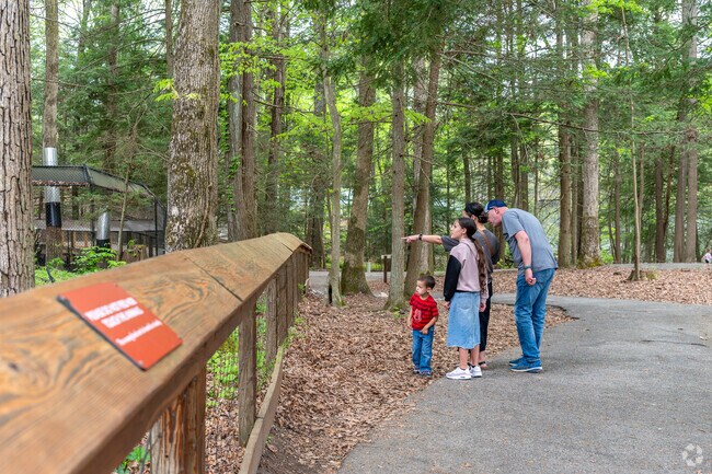 Visitors enjoy one of the many wildlife exhibits at Bays Mountain Park in Kingsport.