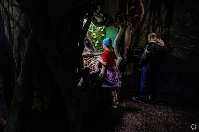 Fassnight residents can walk to the Wonders of Wildlife National Museum and Aquarium.