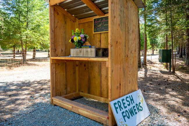 Freshen up your home with beautiful self-serve flowers from Azalea’s local stand.