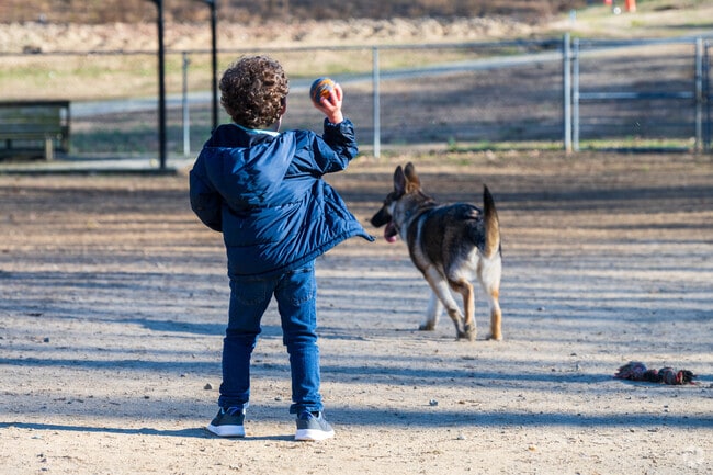 There are several lively dog parks adjacent to the Piney Knolls neighborhood.
