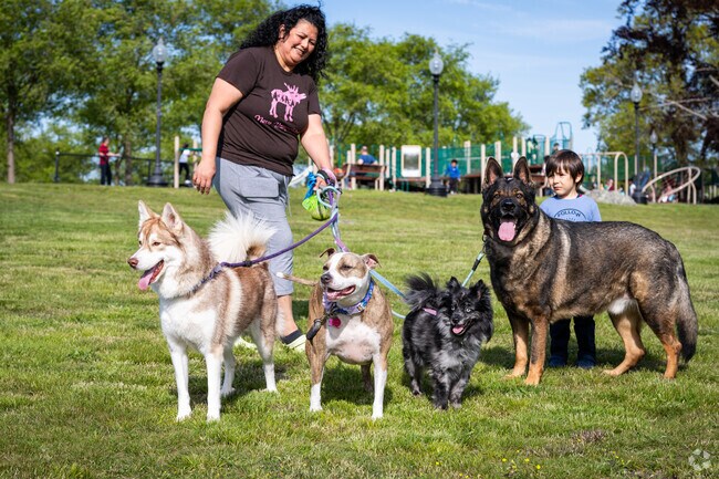 A pack of wagging tails brightens the day as a family strolls Kennedy Park in Fall River.