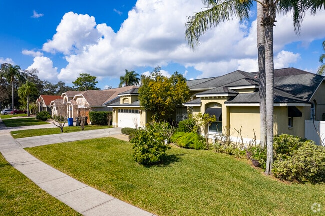 Mature palms and well‑kept lawns shape Citrus Park’s quiet residential streets.