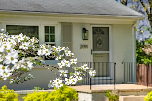 Pasadena yards are filled with flowering trees that explode with color in the Springtime.
