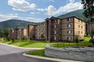 1 Overton Way, Asheville, NC 28803