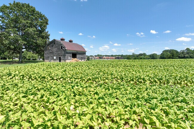 J. T. Williams is a welcoming Charlotte neighborhood known for its historic charm.