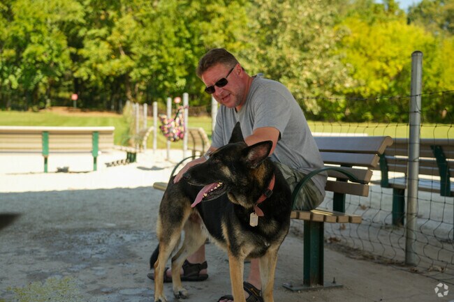 Whalon Lake Dog Park is a great place for all dogs to play in an 11 acre park.
