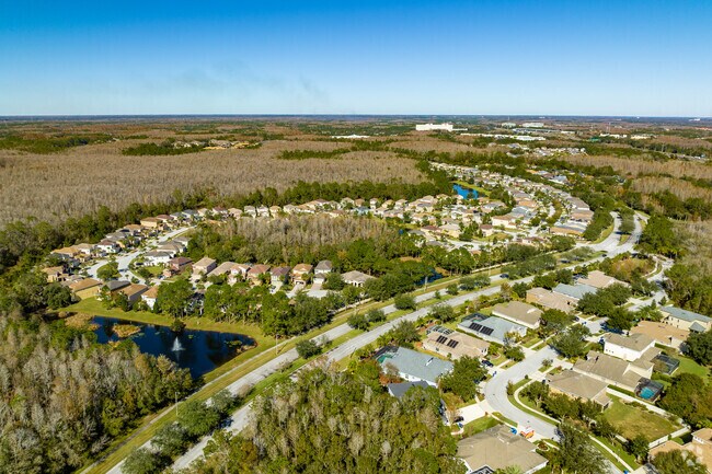 Tampa Palms is a community surrounded by natural preserves.