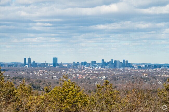 Blue Hills Reservation is beloved by the many towns surrounding it and includes over 7,000 acres of wooded forest and over 129 miles of trails.