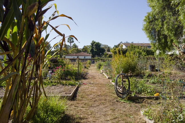Pick fresh produce from Rancheria Community Garden in Lower West.