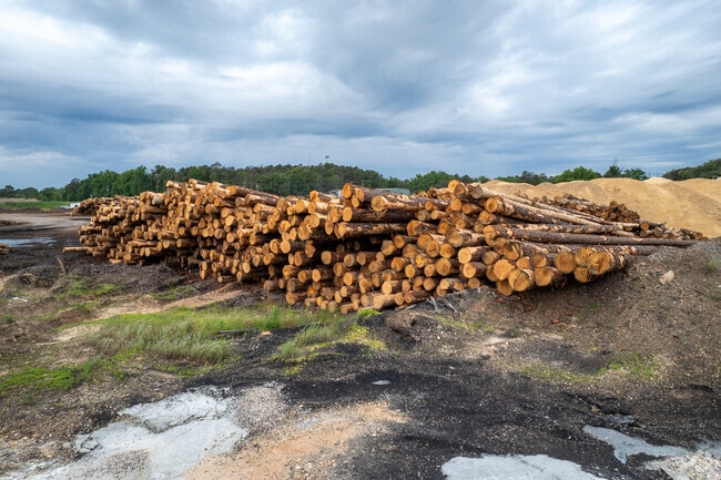 The Weyerhaeuser Company is constructing a $500 million timber facility near the city that is expected to create hundreds of jobs.