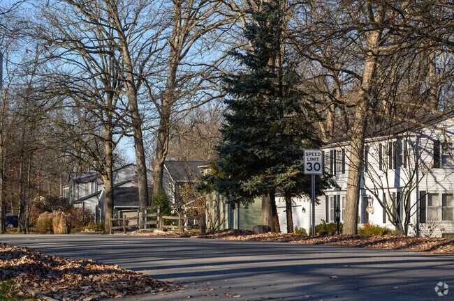 Colonial Revival homes line the shaded streets of Maplewood.