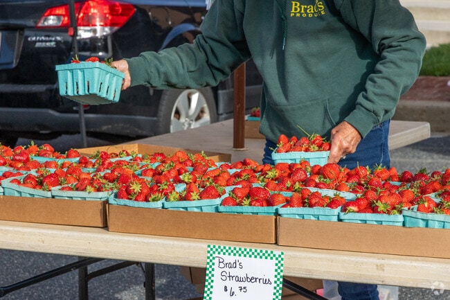 The Bel Air Farmers Market has been serving the Bel Air North community since 1975