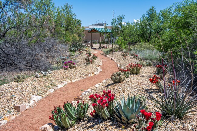 One of the colorful trails found at the Whitfield Conservation Area.