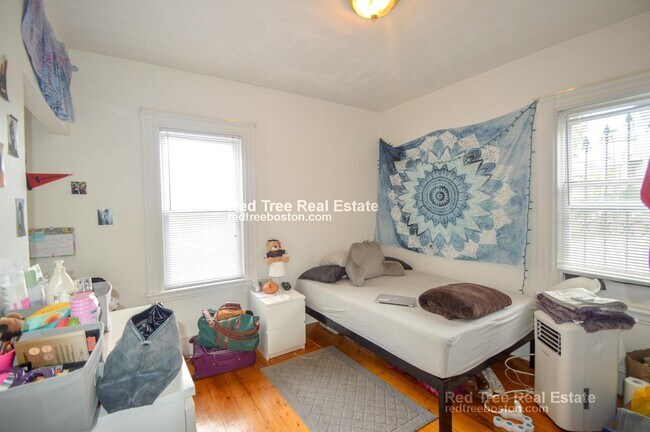 201 Hillside St, Roxbury Crossing, MA 02120 - photo 5