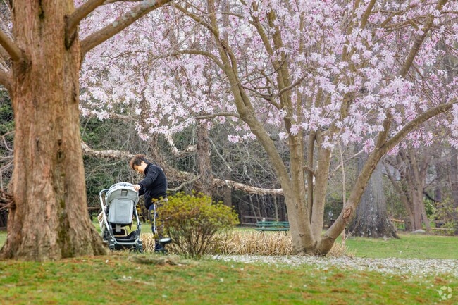 Copley Pond Park  in Munsey Park is a great place for an afternoon nap!