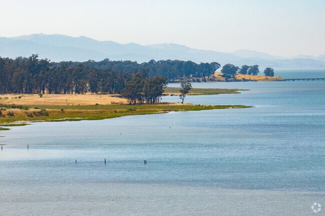 The waterfront in Point Pinole Regional Park is breathtaking.