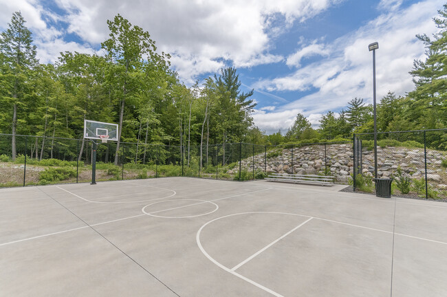 Basketball Court