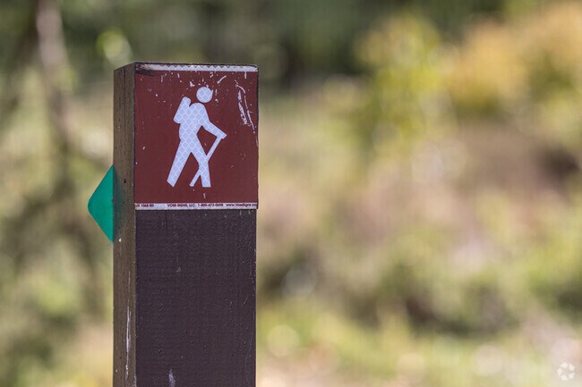 Mallows Bay Park in Nanjemoy has many hiking trails for those who prefer to stay on land.