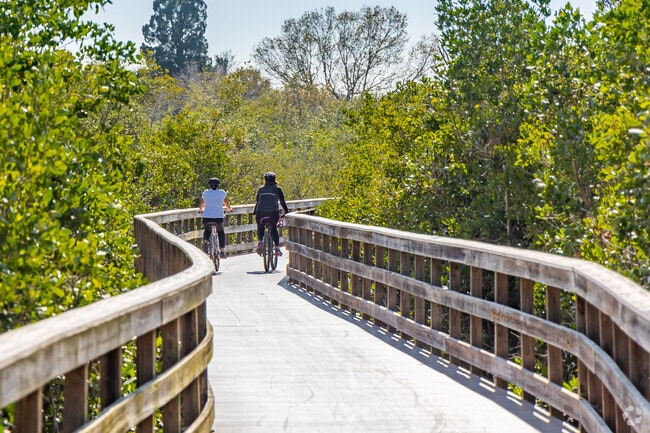 The Oldsmar trail runs through Oldsmar, and connects with many other locations.