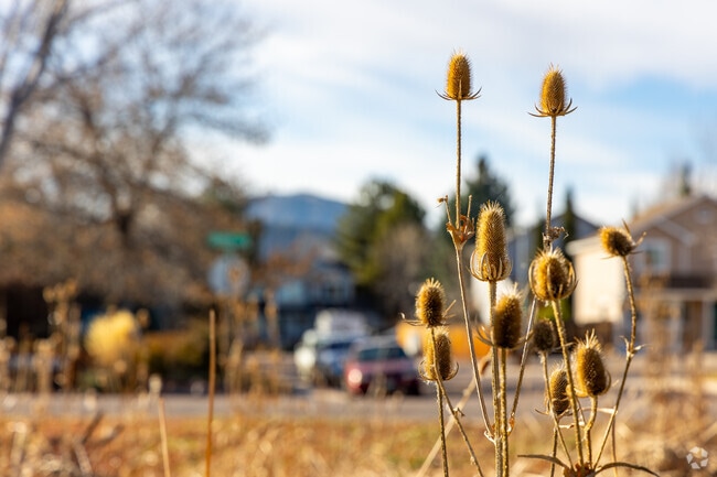 Powderhorn offers mountain views from many of its residential areas.