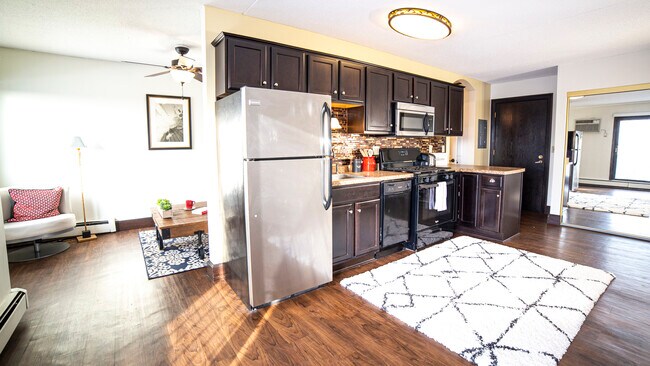 Tree Tops Apartments, Minneapolis, MN 55408 - photo 3