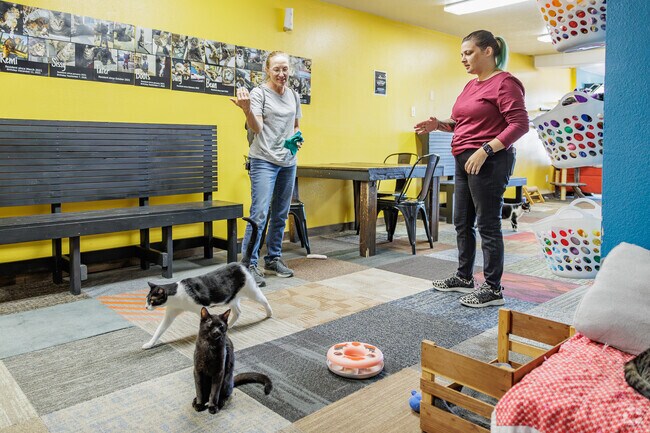 The Nine Lives Cat Lounge and Adoption Center is a unique outreach adjacent to Grand View.