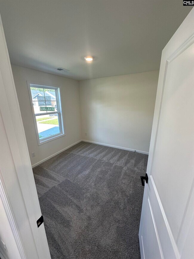 106 Prairie Grass Way, Columbia, SC 29210 - photo 5