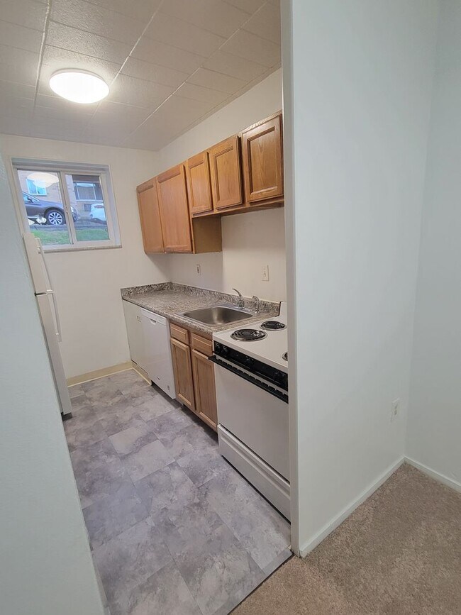 Carol Shamrock Apartments, Pittsburgh, PA 15202 - photo 2