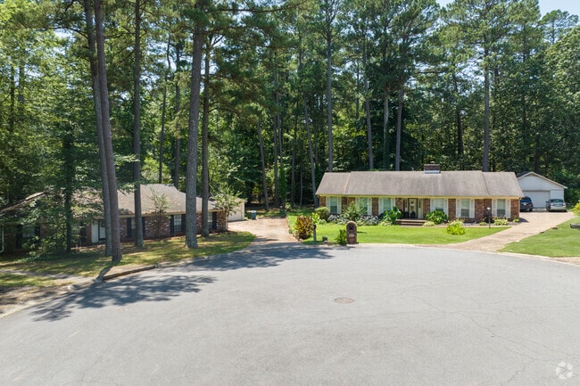 Row of homes in the small town of Otter Creek Crystal, Arkansas.