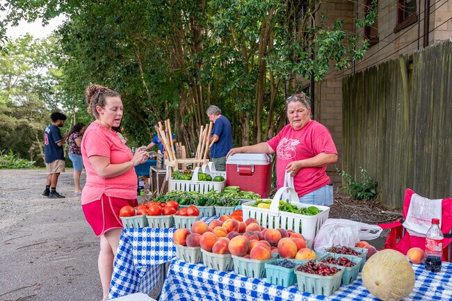 Engage in lively conversation with the farmer as you explore the vibrant stalls of the weekly Jefferson Farmers Market, where fresh produce and local goods await your discovery.
