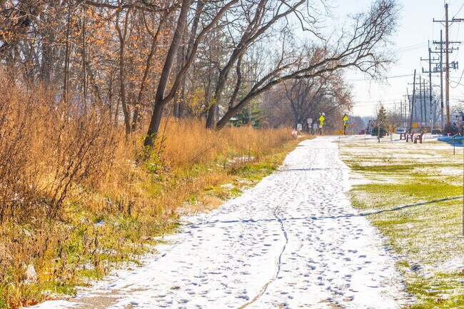 Ringwood's walking paths are popular among locals.