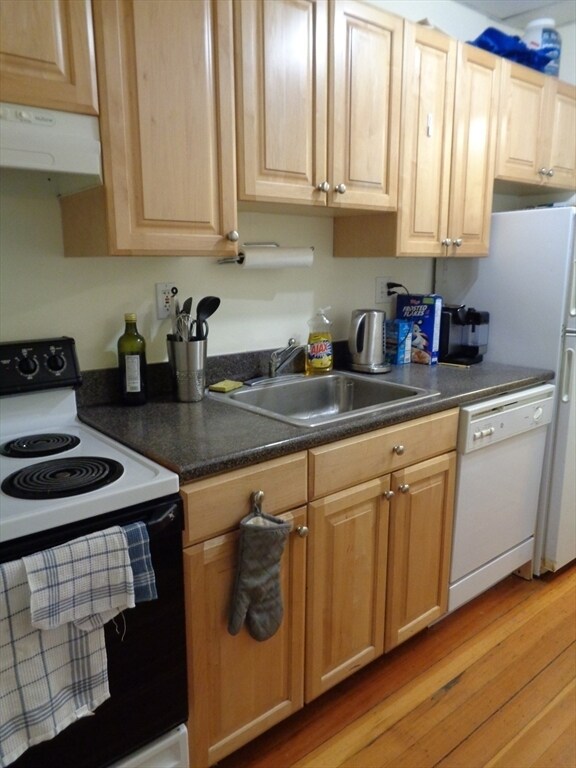 41 Carlton St unit 1, Brookline, MA 02446 - photo 2