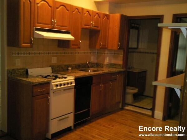 59 Linden St unit 7, Allston, MA 02134 - photo 4