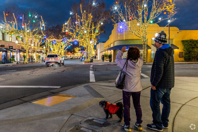 Fourth Street-Berkeley Marina has stunning Christmas lights at night in Berkeley.